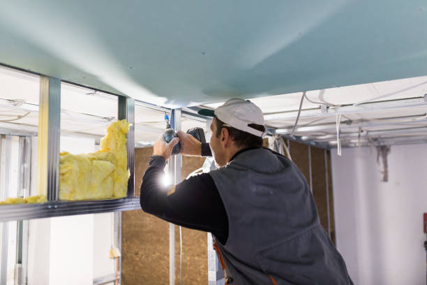 Best Soundproof Insulation  in Pantego, TX